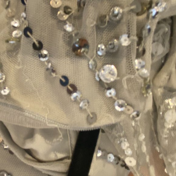 Gorgeous Sequined Gown - Picture 5 of 9